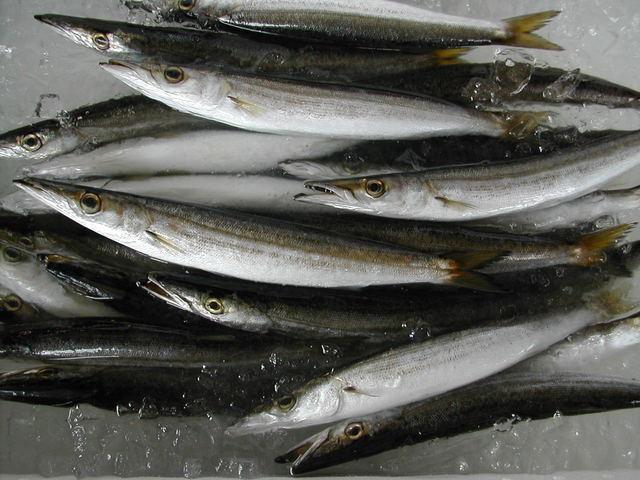 (�L)��萅�Y�@�����N���E�����������X�@�u���O