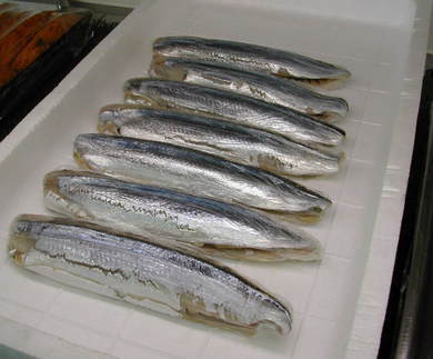 (�L)��萅�Y�@�����N���E�����������X�@�u���O