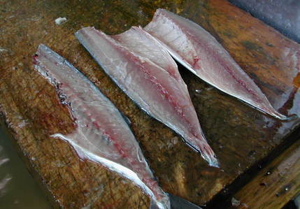 (�L)��萅�Y�@�����N���E�����������X�@�u���O