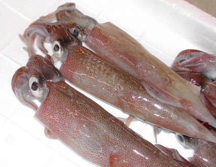 (�L)��萅�Y�@�����N���E�����������X�@�u���O