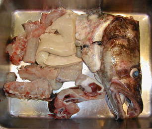 (�L)��萅�Y�@�����N���E�����������X�@�u���O