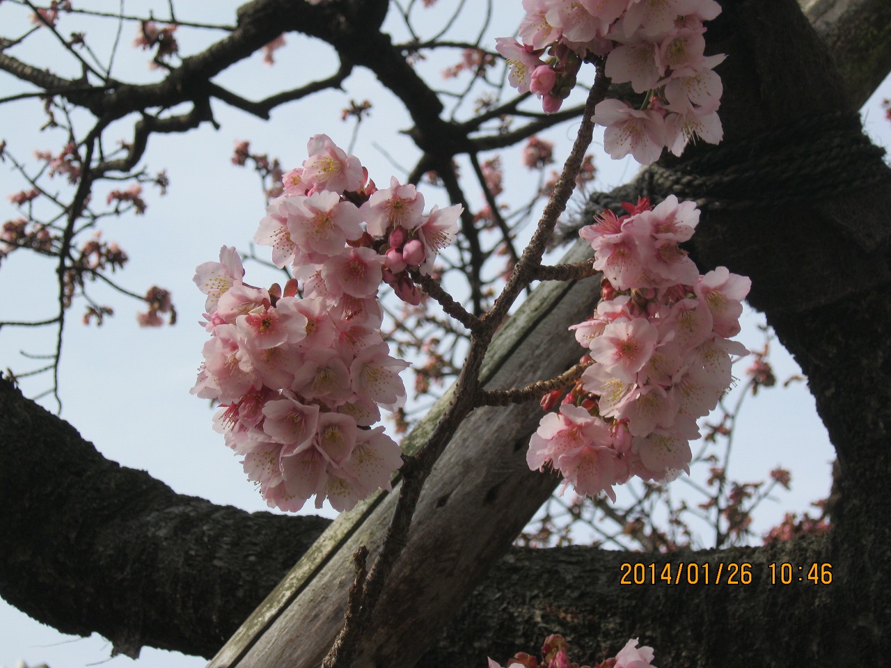 ���������đ���܂��񂩁H