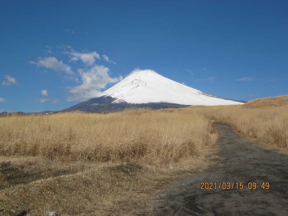 ���������đ���܂��񂩁H