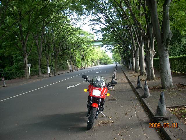 ���������đ���܂��񂩁H