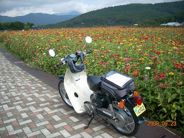 ���������đ���܂��񂩁H