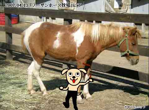 �����炢�̗��@�킩