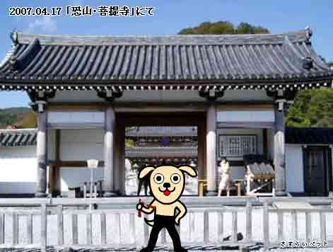 �����炢�̗��@�킩