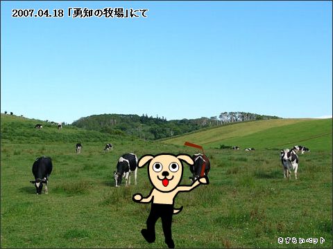 �����炢�̗��@�킩
