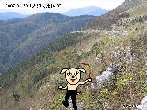�����炢�̗��@�킩