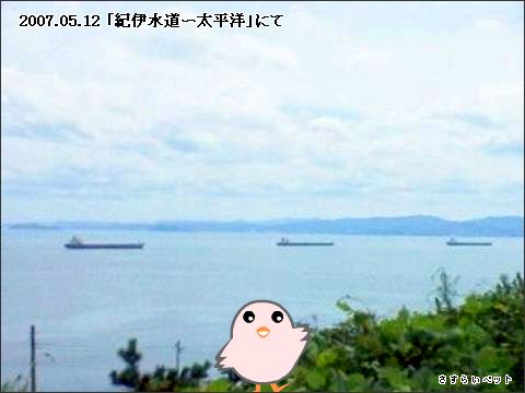 �����炢�̗��@�킩