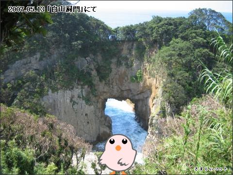 �����炢�̗��@�킩