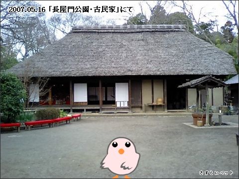 �����炢�̗��@�킩