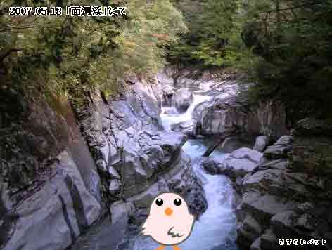 �����炢�̗��@�킩