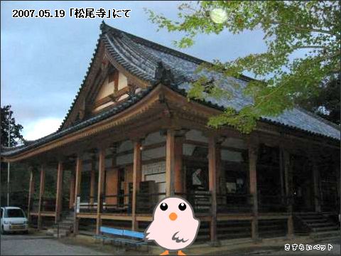 �����炢�̗��@�킩