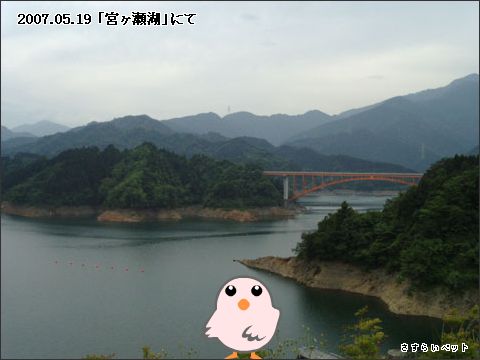 �����炢�̗��@�킩