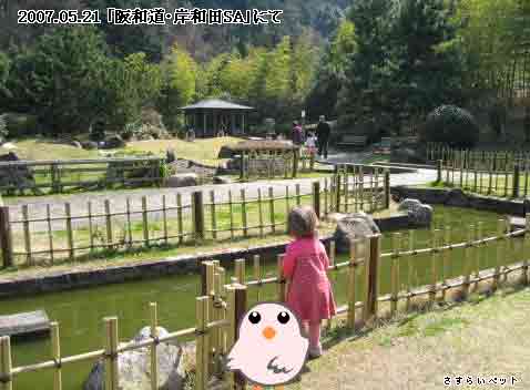 �����炢�̗��@�킩