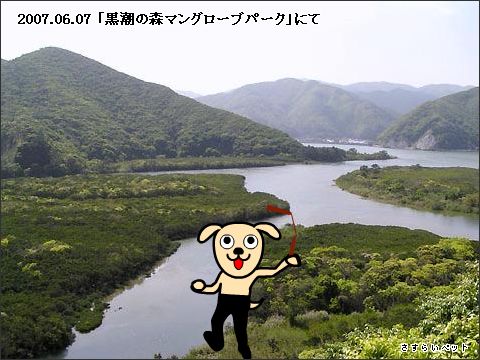 �����炢�̗��@�킩