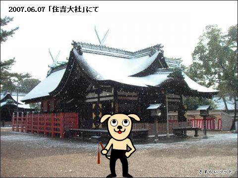 �����炢�̗��@�킩