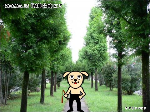 �����炢�̗��@�킩