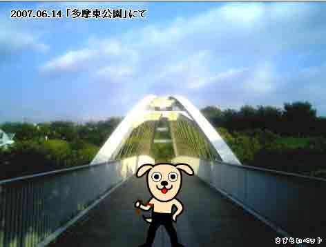 �����炢�̗��@�킩