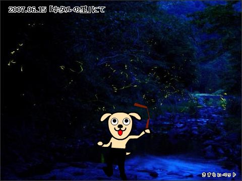 �����炢�̗��@�킩