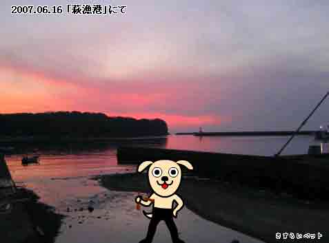 �����炢�̗��@�킩