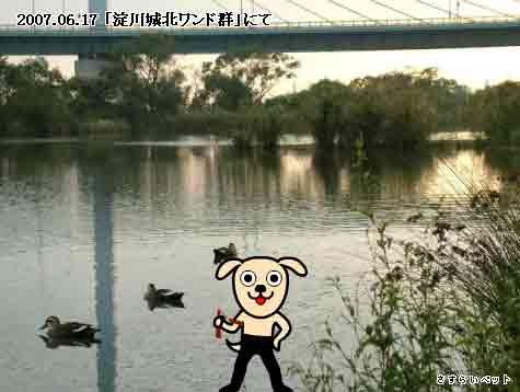 �����炢�̗��@�킩