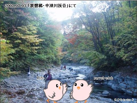 �����炢�̗��@�킩