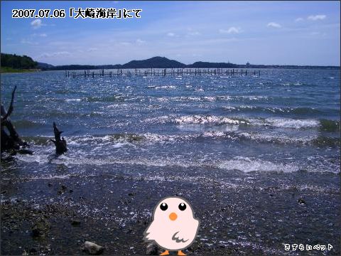 �����炢�̗��@�킩