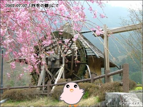 �����炢�̗��@�킩