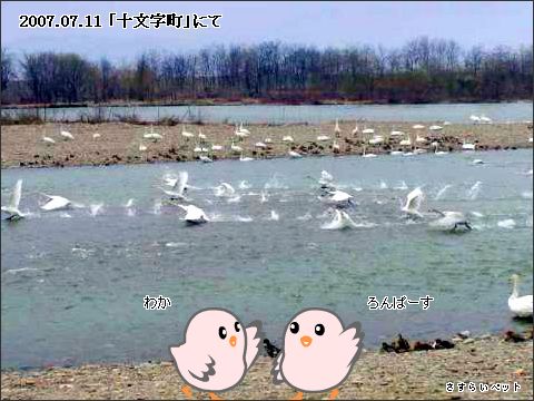 �����炢�̗��@�킩