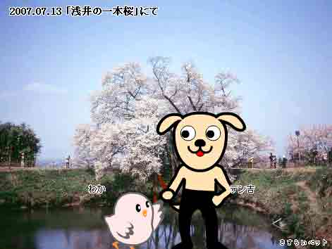 �����炢�̗��@�킩