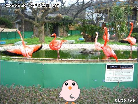 �����炢�̗��@�킩