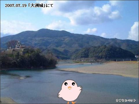 �����炢�̗��@�킩