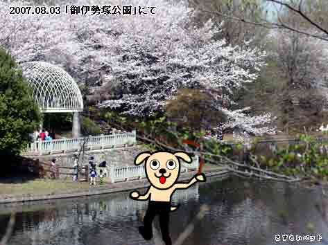 �����炢�̗��@�킩