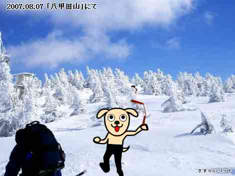 �����炢�̗��@�킩