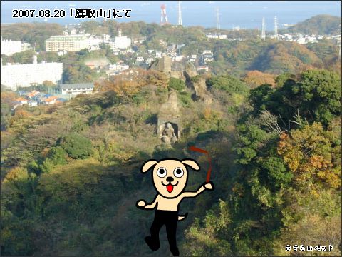 �����炢�̗��@�킩