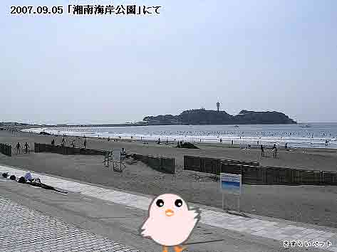 �����炢�̗��@�킩