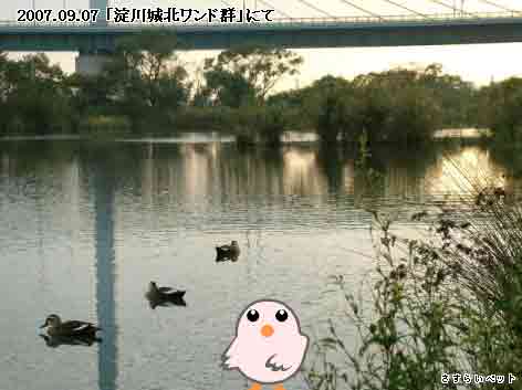 �����炢�̗��@�킩