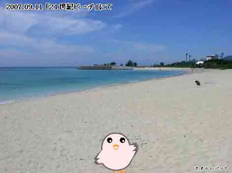 �����炢�̗��@�킩