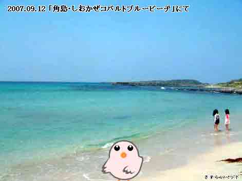 �����炢�̗��@�킩