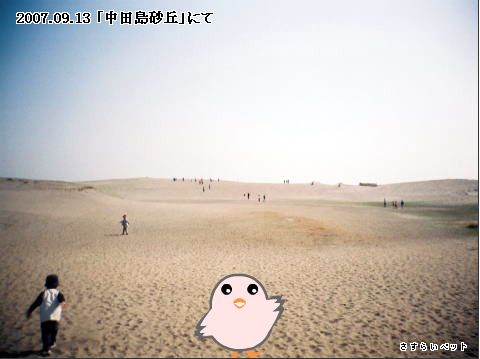 �����炢�̗��@�킩