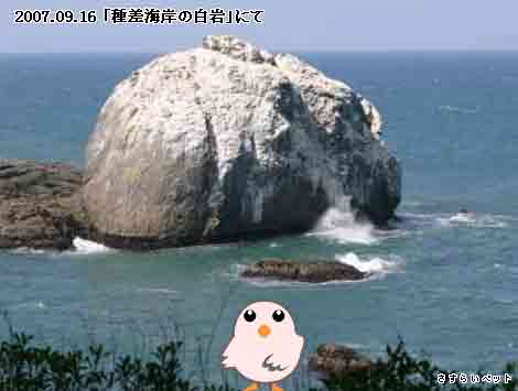 �����炢�̗��@�킩