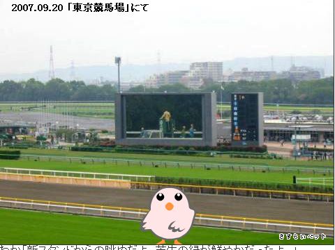 �����炢�̗��@�킩