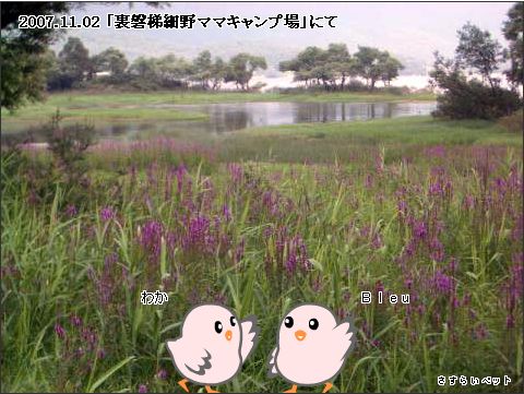 �����炢�̗��@�킩