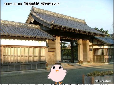 �����炢�̗��@�킩