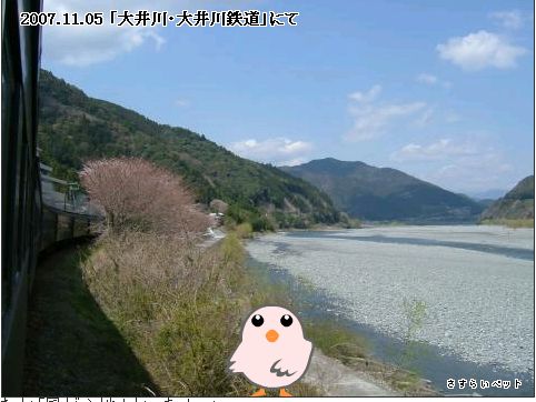 �����炢�̗��@�킩