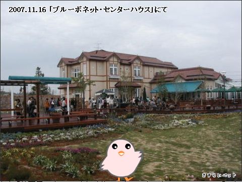 �����炢�̗��@�킩