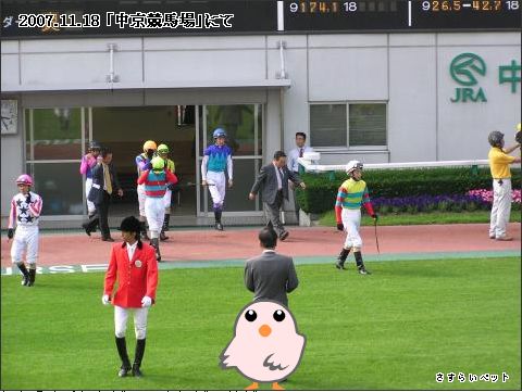 �����炢�̗��@�킩