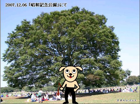 �����炢�̗��@�킩